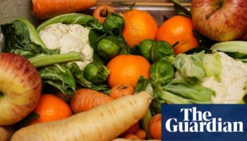 Labour backs plans for £15m fund to distribute surplus food from farms