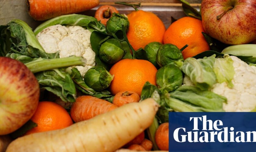 Labour backs plans for £15m fund to distribute surplus food from farms