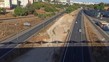 Las obras del carril Bus-VAO en el Aljarafe, supondrá la plantación de más de mil árboles y arbustos