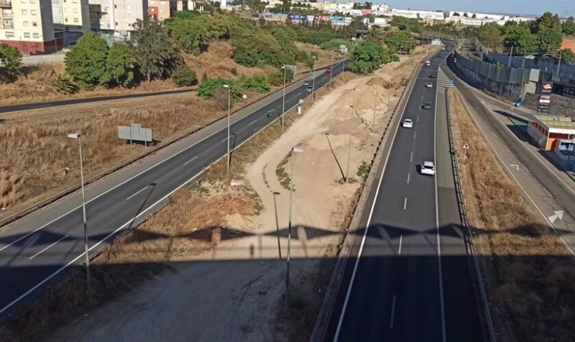 Las obras del carril Bus-VAO en el Aljarafe, supondrá la plantación de más de mil árboles y arbustos