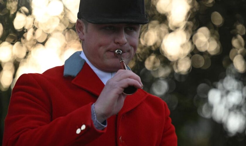 Le Royaume-Uni envisage de bannir la chasse au leurre, accusée de couvrir la chasse à courre