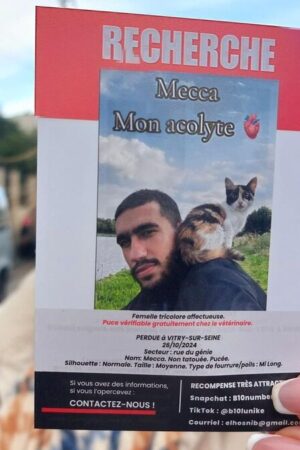 L’incroyable mobilisation pour retrouver le chat Mecca, adopté sur le chemin de La Mecque et disparu à Vitry