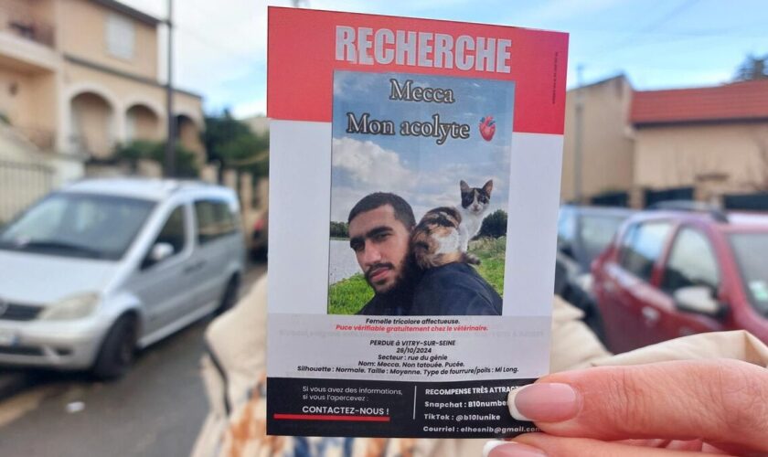 L’incroyable mobilisation pour retrouver le chat Mecca, adopté sur le chemin de La Mecque et disparu à Vitry