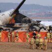 Los choques con pájaros, pesadilla de pilotos y causa de muchos incidentes aéreos