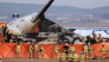 Los choques con pájaros, pesadilla de pilotos y causa de muchos incidentes aéreos