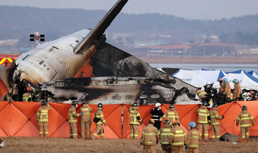 Los choques con pájaros, pesadilla de pilotos y causa de muchos incidentes aéreos