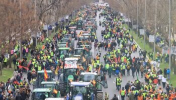 Más de 80 millones de euros en ayudas para 3.500 agricultores y ganaderos en Madrid durante este año