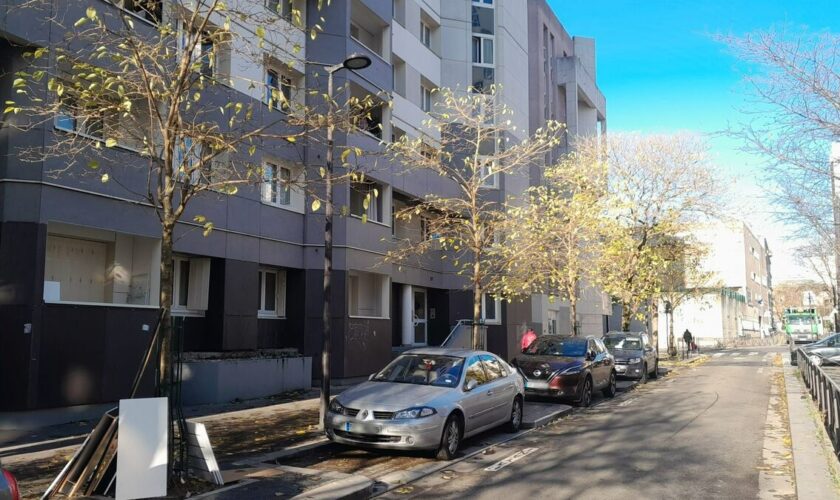 Meurtre de « Petit Mounir », cité de la Banane à Paris : deux suspects en garde à vue