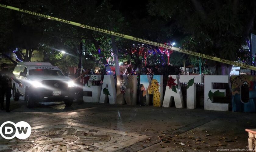 Mexico: Christmas fair organizer shot dead in Chilpancingo