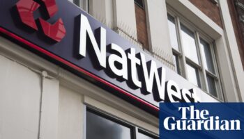 NatWest on fast trajectory back to private ownership, boss says