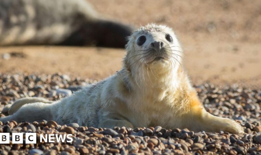 National Trust warns UK's most precious heritage at risk from extreme weather