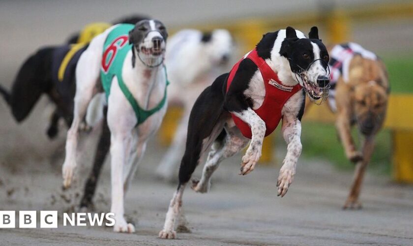 New Zealand to ban greyhound racing