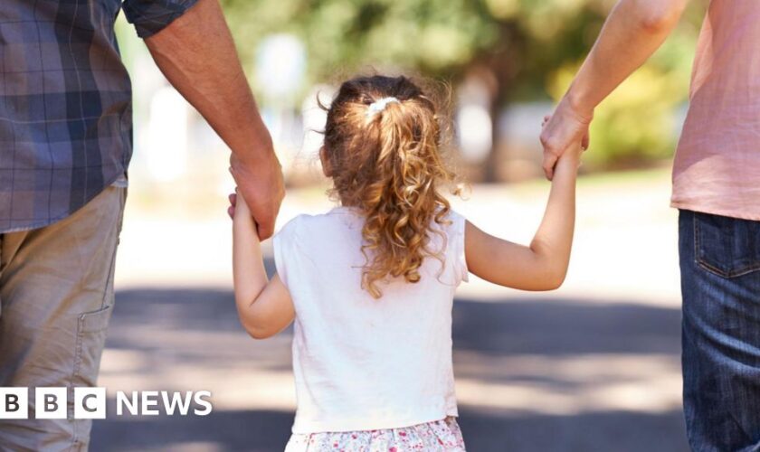 New guidance on 'parental alienation' in family court battles