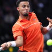 Next Gen ATP Finals 2024 : programme, chaîne TV, Français… Tout savoir sur le tournoi de tennis à Djeddah