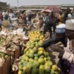 Nigeria: Deadly stampedes highlight deepening crises