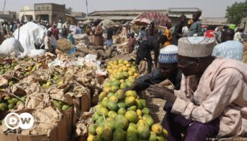 Nigeria: Deadly stampedes highlight deepening crises