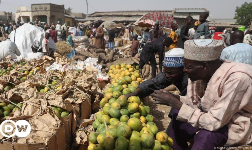 Nigeria: Deadly stampedes highlight deepening crises