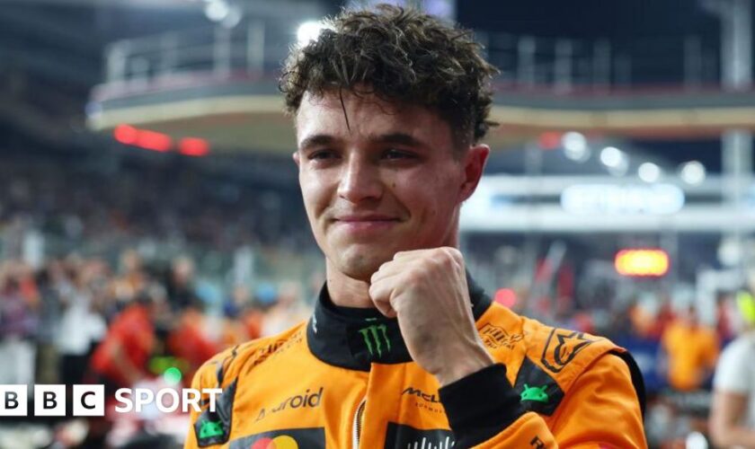 Lando Norris smiles and clenches his fist in celebration after qualifying on pole for the Abu Dhabi Grand Prix