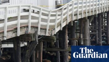 Part of Santa Cruz wharf collapses and floats away amid major swell