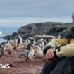 Penguins and iceberg-watching: Marking Christmas in Antarctica