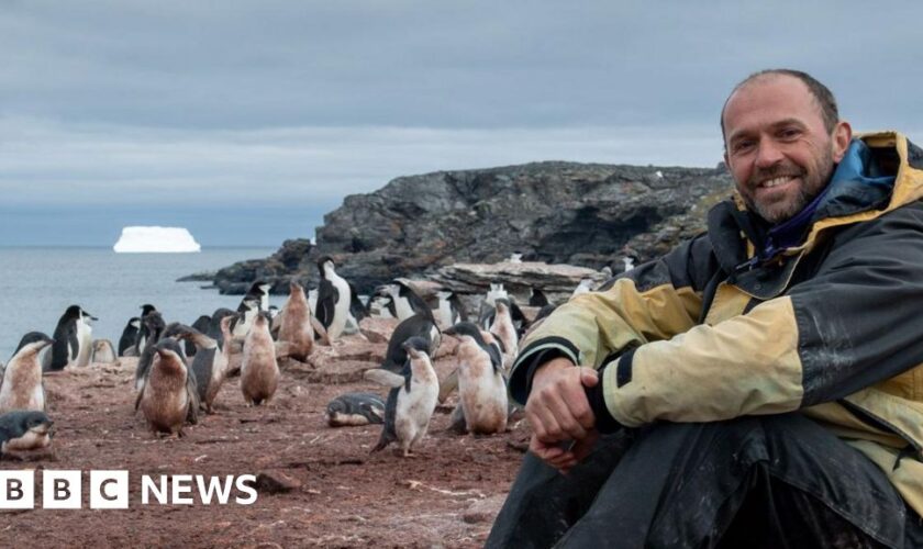 Penguins and iceberg-watching: Marking Christmas in Antarctica