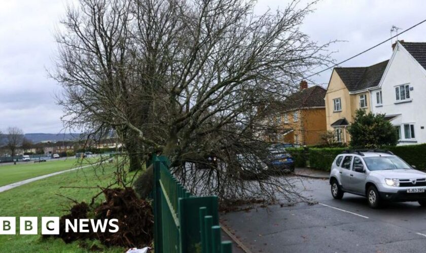 People will die in storm power cuts, councillor says