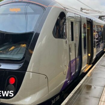 Person caught in train doors pulled along platform