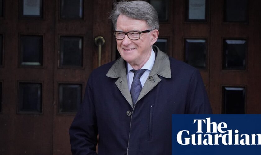 Peter Mandelson has to become ‘most important voice’, says ex-ambassador