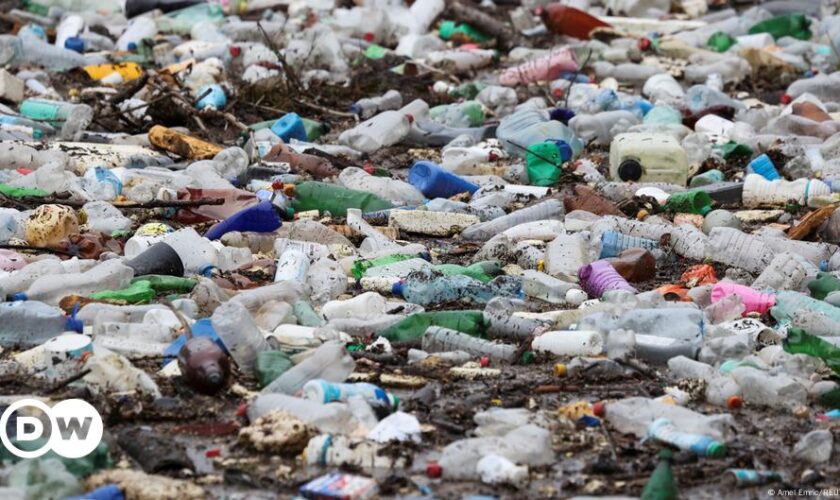 Plastic pollution ban fails, time needed says chair