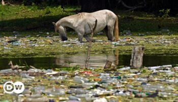 Plastikkrise: ExxonMobil wegen Plastikmüll vor Gericht