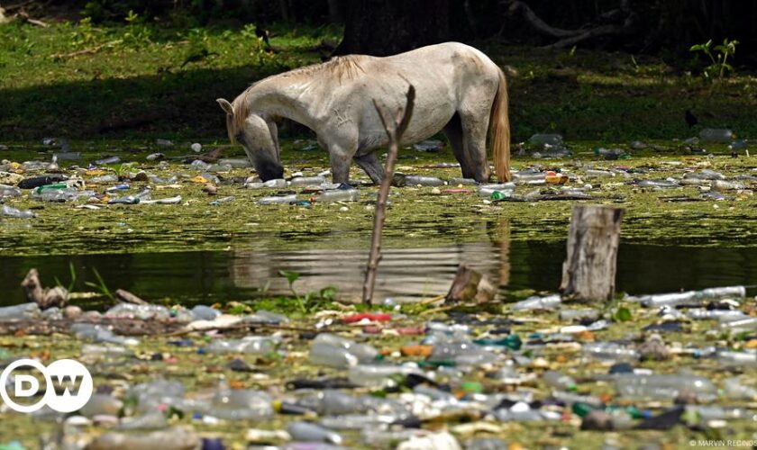 Plastikkrise: ExxonMobil wegen Plastikmüll vor Gericht