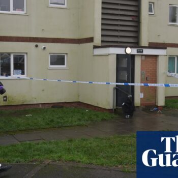 Police officers fired Tasers at knifeman before fatal gunshot