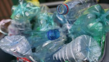 Pollution : comment Paris veut en finir avec les bouteilles plastiques dans son espace public