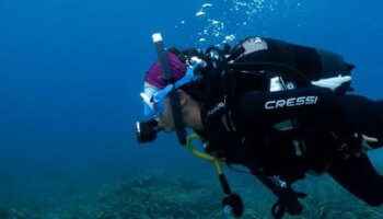 Praderas de posidonia oceanica a vista de satélite