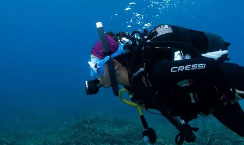 Praderas de posidonia oceanica a vista de satélite