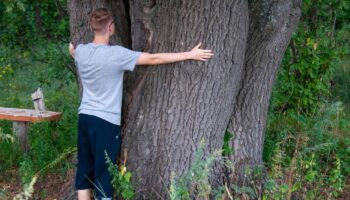 «Prendre en compte les intérêts des vivants non humains» : à Lyon, d’étranges formations au «dialogue inter-espèces» financées par la ville