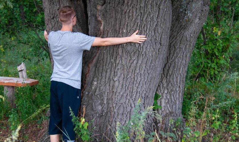 «Prendre en compte les intérêts des vivants non humains» : à Lyon, d’étranges formations au «dialogue inter-espèces» financées par la ville