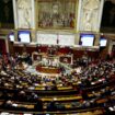 Que peut faire (et ne pas faire) le Parlement en l’absence de gouvernement ?