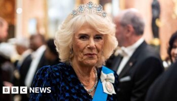 Queen Camilla to miss start of Qatari state visit after chest infection