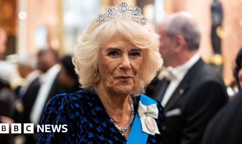 Queen Camilla to miss start of Qatari state visit after chest infection