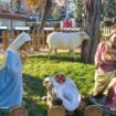 Roban el Niño Jesús del nacimiento instalado en el Parque de la Concordia de Guadalajara