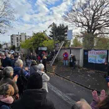 Saint-Maur-des-Fossés : après la polémique de l’« architecte fantôme », le grand chêne toujours menacé