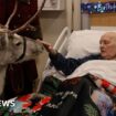 School Santa gets visit from reindeer in hospice