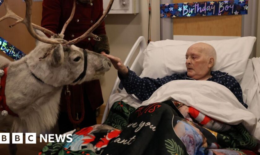 School Santa gets visit from reindeer in hospice