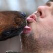 Se faire lécher le visage par son chien : pourquoi cela peut-il être dangereux ?