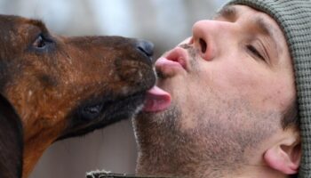 Se faire lécher le visage par son chien : pourquoi cela peut-il être dangereux ?