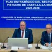 Se presenta el Plan Estratégico del Pistacho para los próximos cuatro años