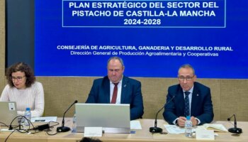 Se presenta el Plan Estratégico del Pistacho para los próximos cuatro años