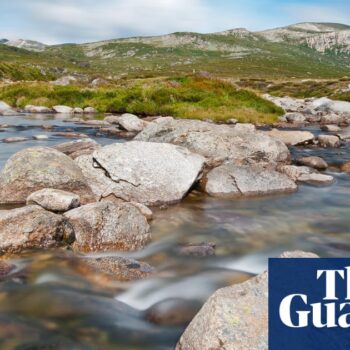 Search resumes for hiker who failed to arrive at campground in Kosciuszko national park