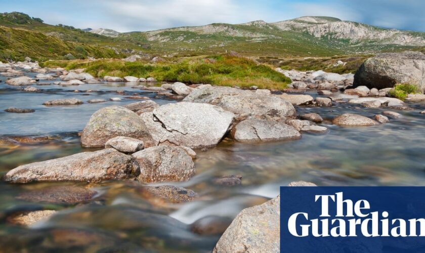 Search resumes for hiker who failed to arrive at campground in Kosciuszko national park